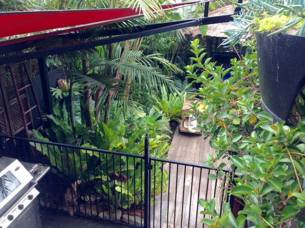 Plants everywhere at 'Saturday'. Janna Schreier