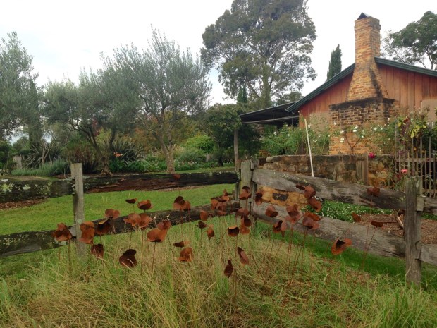 Poppy field at Glenmore House. Janna Schreier