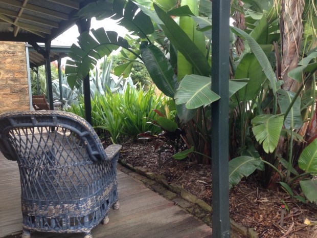 Protected tropical plants at Glenmore House. Janna Schreier