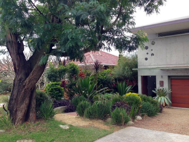 Tropical colours with native feel. Janna Schreier