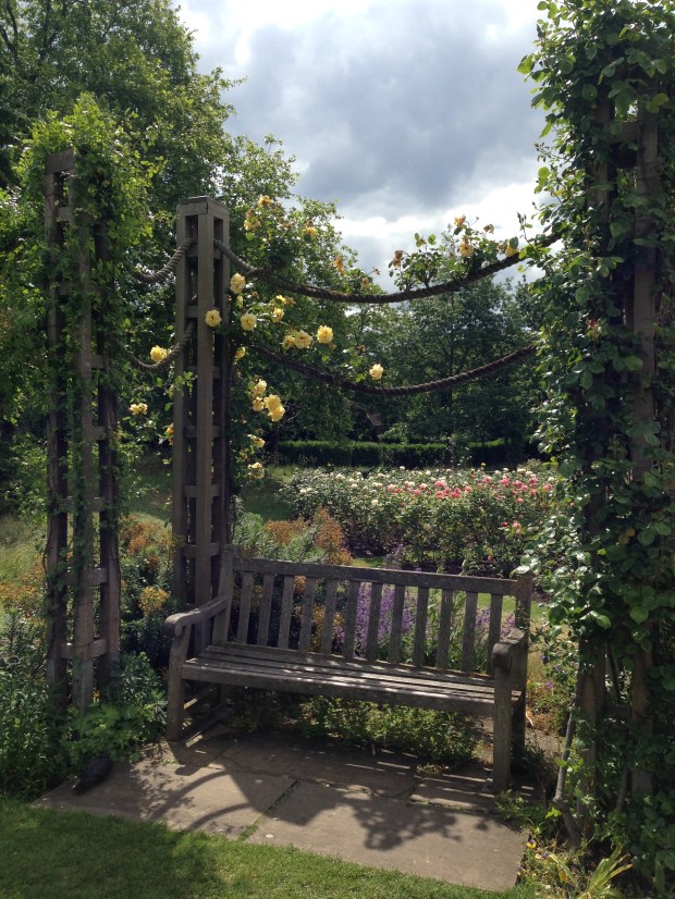 Climbing roses along ropes in Regent's Park. Janna Schreier