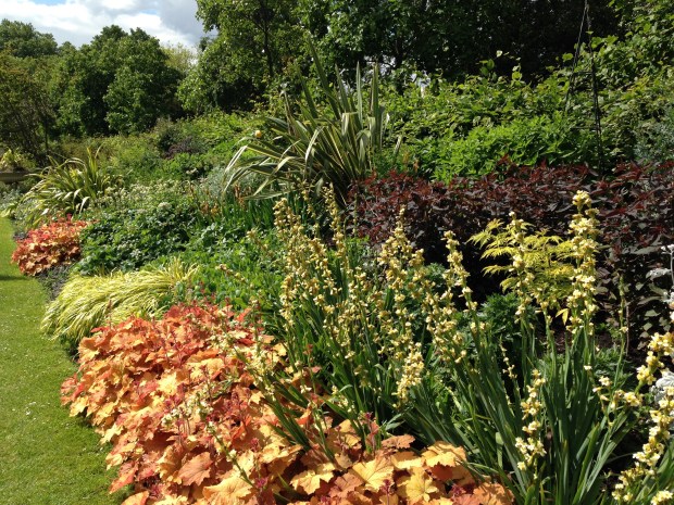 Orange and Yellow Herbaceous Border, Regent's Park. Janna Schreier