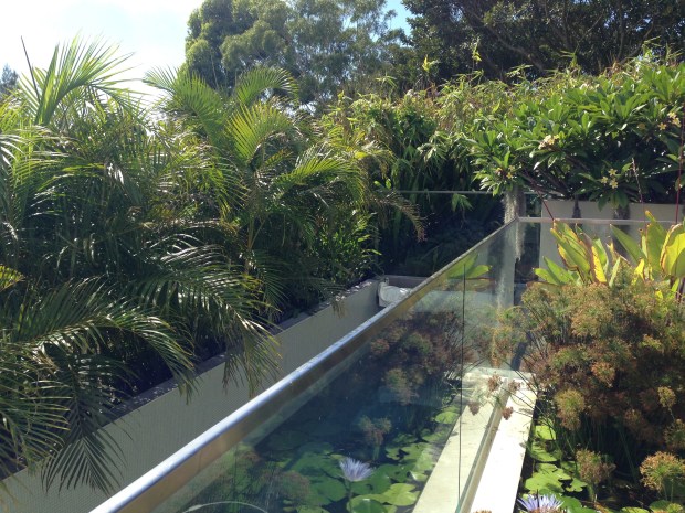 Unobtrusive swimming pool at Mark Paul's garden. Janna Schreier