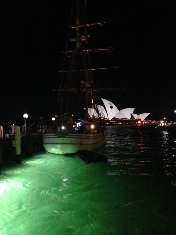 Vivid 2015, Sydney. Janna Schreier