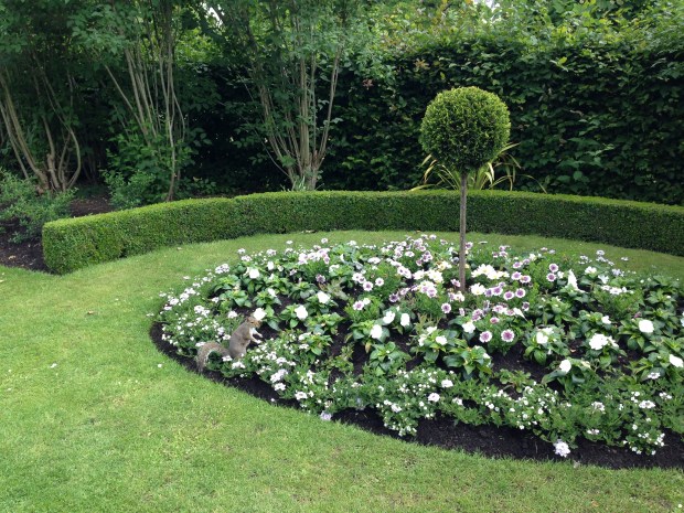 White Bedding with Squirrel, Regent's Park. Janna Schreier
