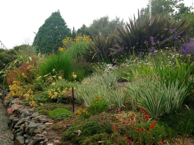 Bright border at Government House, British Columbia. Janna Schreier
