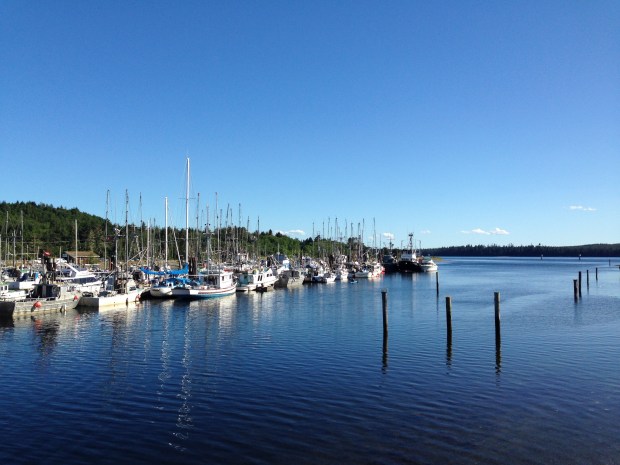Fishing vessles in Masset harbour. Janna Schreier