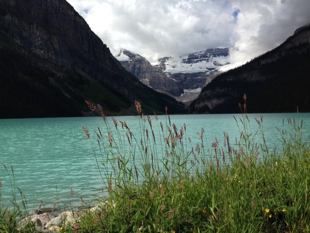 Grasses at Lake Louise. Janna Schreier