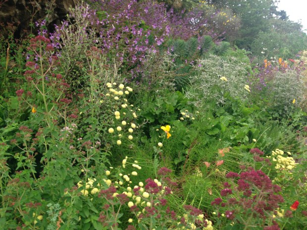 Herbaceous border at Government House, British Columbia. Janna Schreier