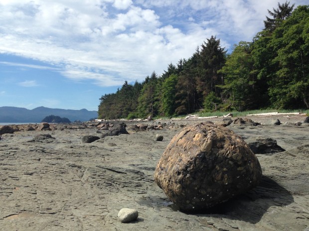 Interesting rock textures at Haida Gwaii. Janna Schreier