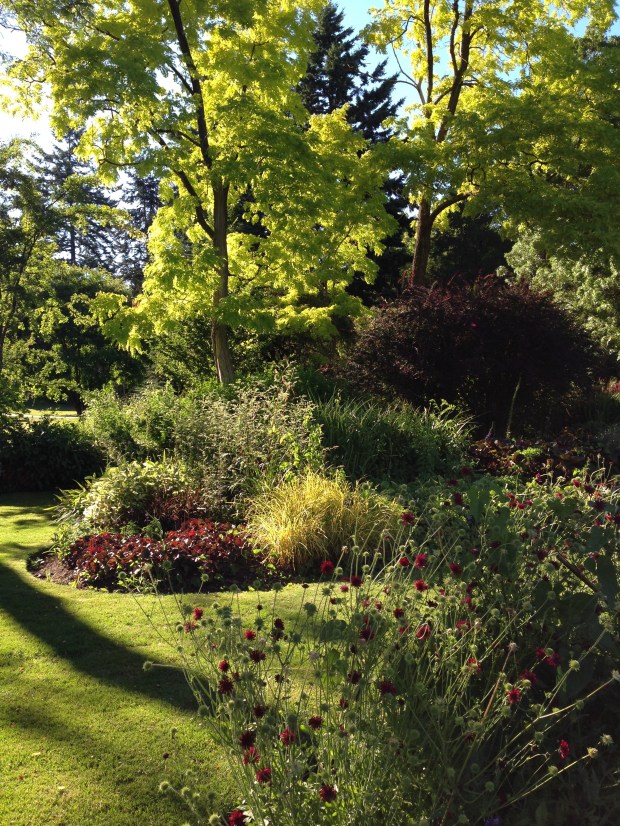 Limes and burgundies at Van Dusen Garden. Janna Schreier