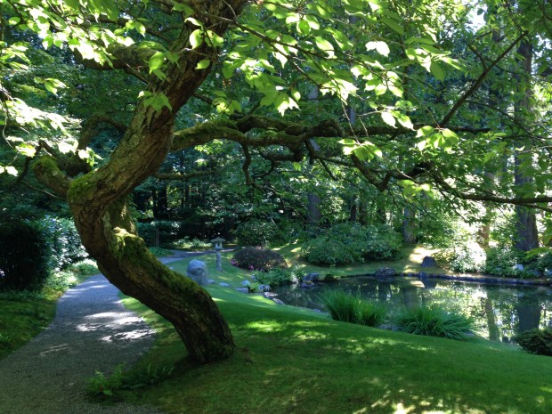 Nitobe Japanese Garden, Vancouver. Janna Schreier
