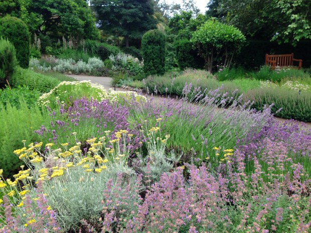 Pastel yellows and mauves at Governmnent House, Victoria. Janna Schreier