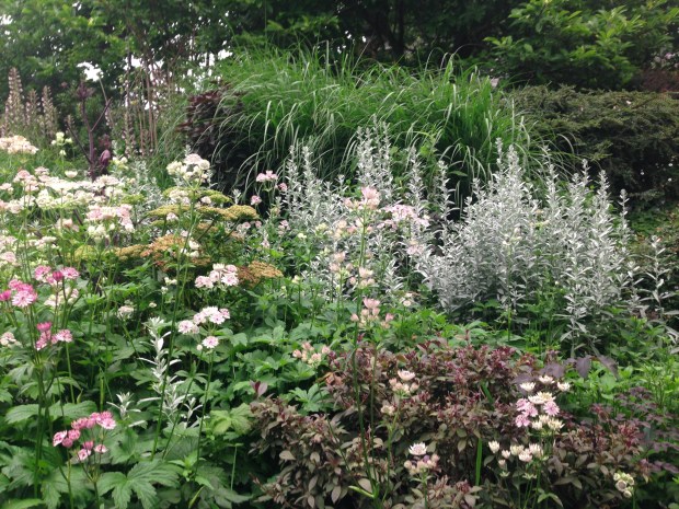 Pinks, silver and burgundies at Government House, British Columbia. Janna Schreier