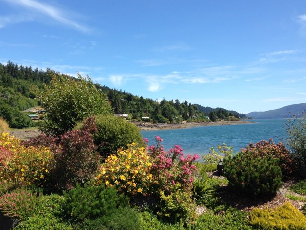 Queen Charlotte Visitor Centre Garden. Janna Schreier