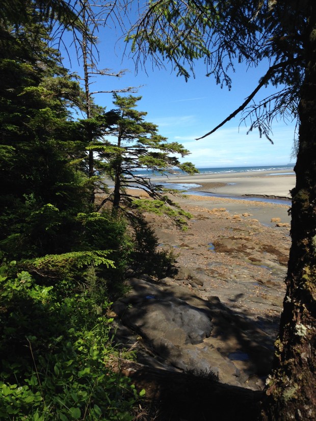Rose Spit Beach, Haida Gwaii. Janna Schreier