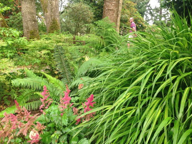 Shady garden at Government House, British Columbia. Janna Schreier