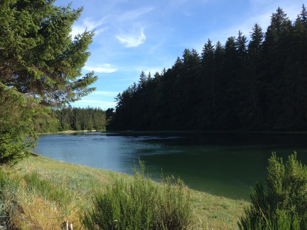 Tlell River, Haida Gwaii. Janna Schreier