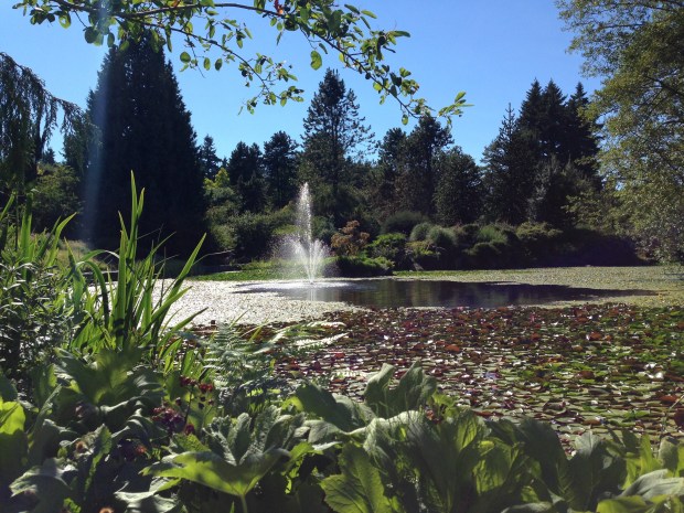 Van Dusen Garden, Vancouver. Janna Schreier