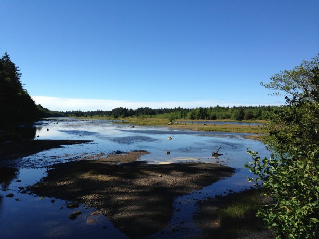 Wetlands Wildlife Sanctuary Walk, Haida Gwaii. Janna Schreier