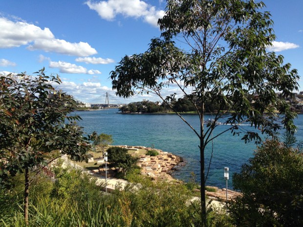 Anzac bridge from Barangaroo Reserve