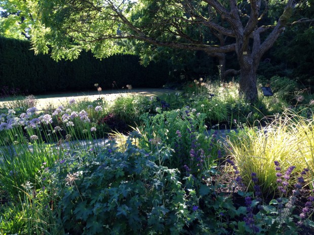 Ethereal planting at VanDusen Botanical Garden