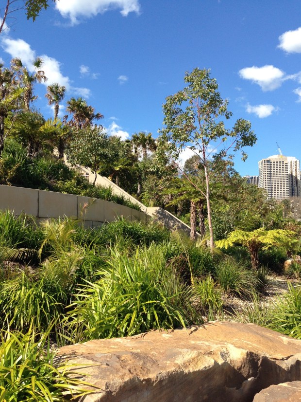 Glimpse of the city from Barangaroo Reserve