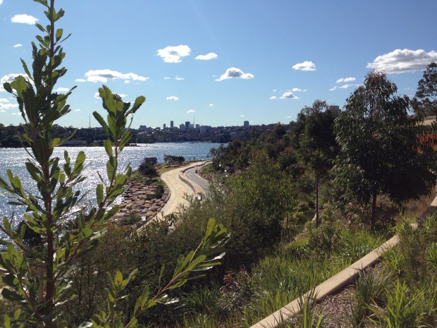 Looking down across the terraces of Barangaroo Reserve