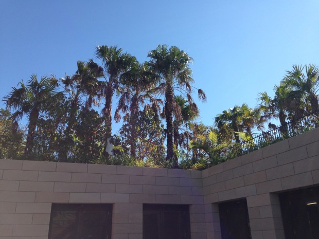 Much of Barangaroo Reserve is one big roof garden