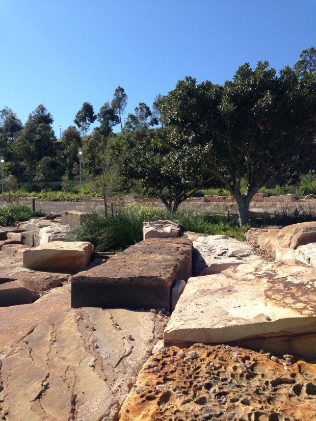 Natural sandstone colours and textures at Barangaroo Reserve