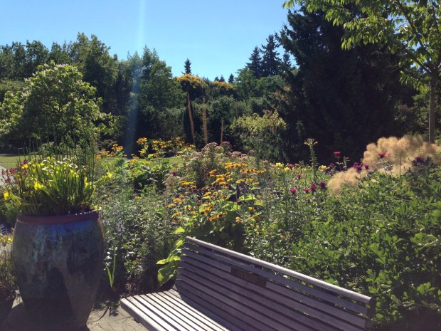 Nice spot to sit and enjoy the VanDusen Botanical Garden