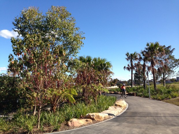 Plantings at the top of Barangaroo Reserve