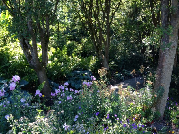 Relaxed woodland planting at VanDusen Botanical Garden, Vancouver