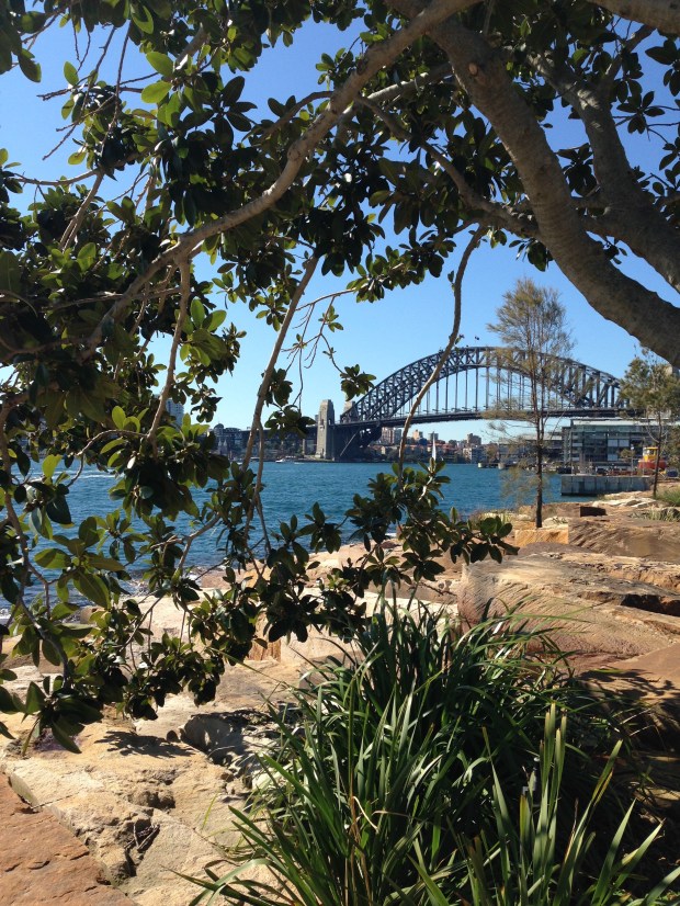 Stunning vistas at Barangaroo Reserve