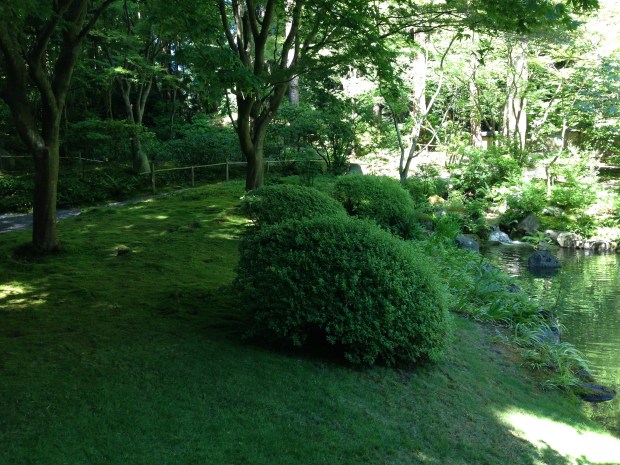Voids and planting at Nitobe Japanese Garden