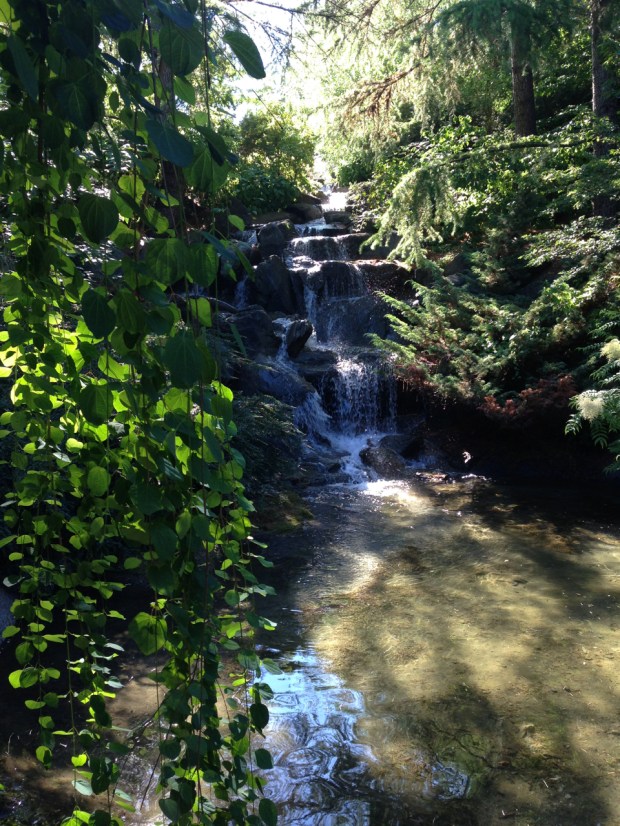 Waterfall at the VanDusen Botanical Garden