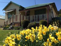 Forest view today, Rydal