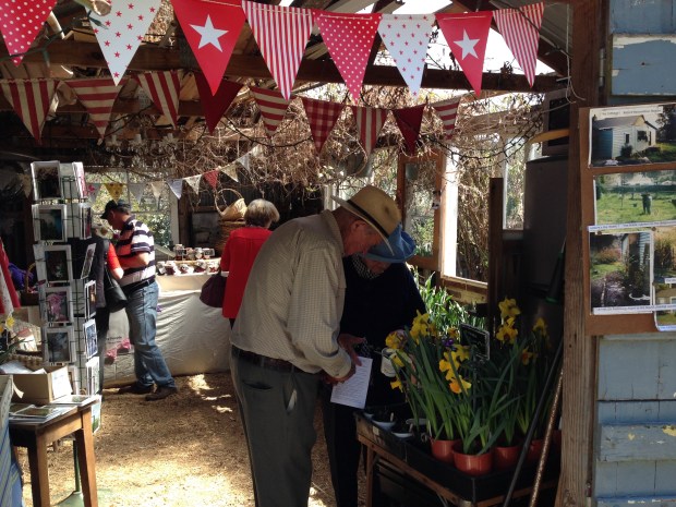 Rosie's garden store full of daffodils and other goodies