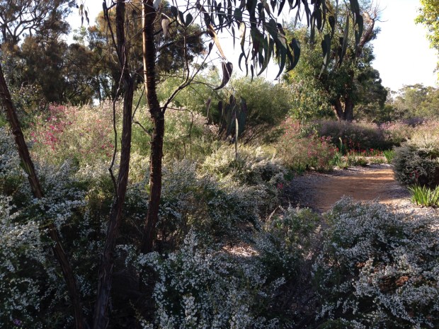 Think English gardens are full of flowers?