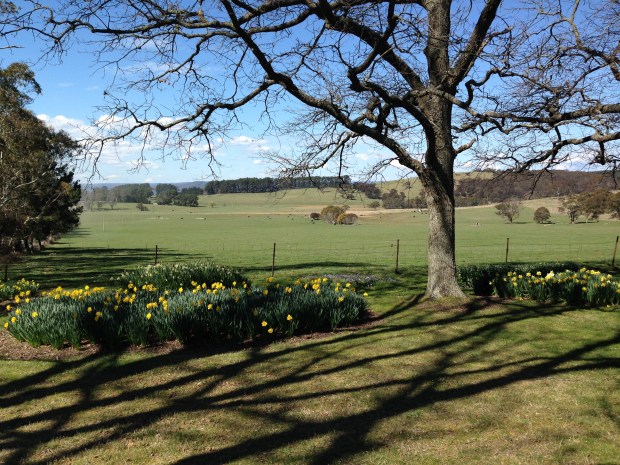 Views to the hills from Karingal, Rydal