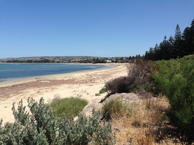 At a nearby beach, you can see the same greys, greens, blues, browns and sandy shades as Sarah has planted in her garden