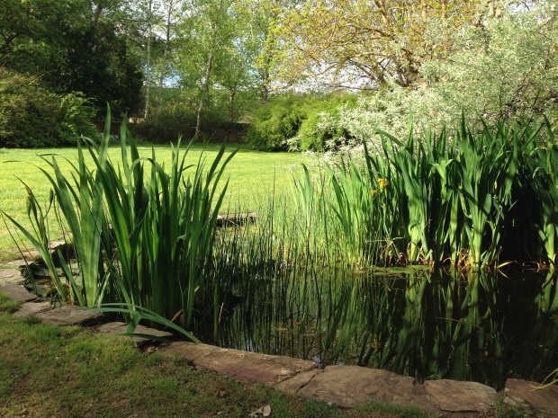 Beautiful stones surround this pond at Kiloren