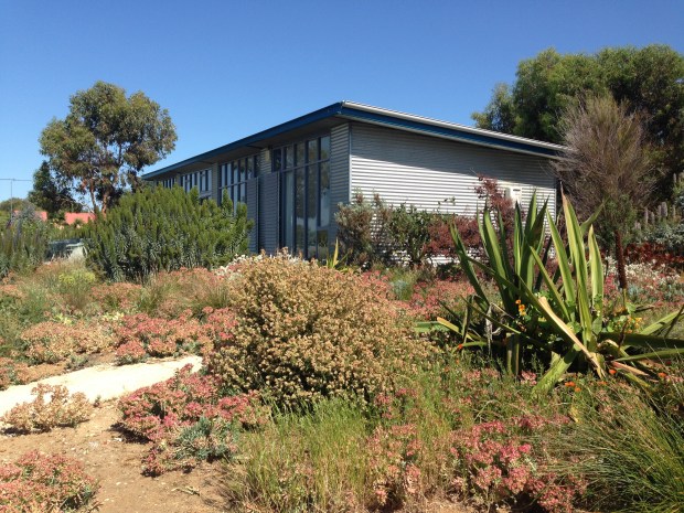 Different parts of the garden have different colour themes, but none feel overly rigid or contrived