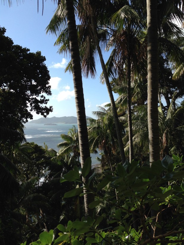 Every step you took, another surreal view emerged