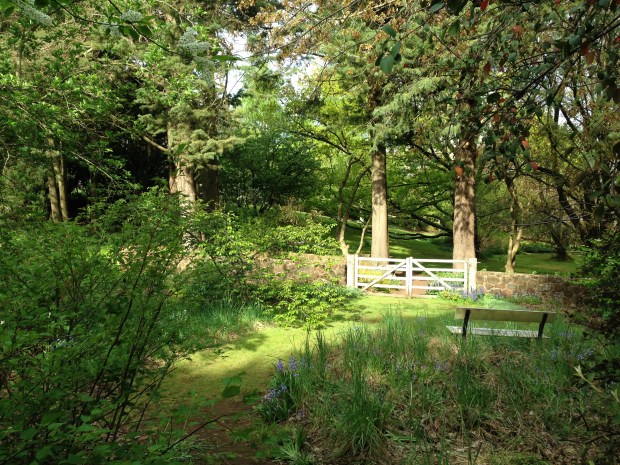 I adore this simple, timber gate, here lit up in the soft afternoon sun