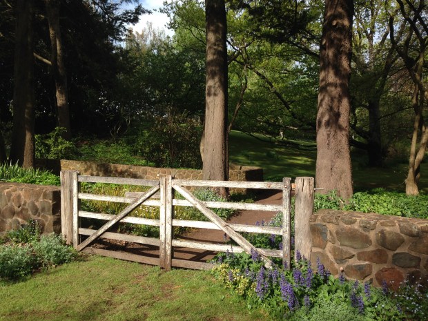 I love the merging of woodland plants into the grassy paths