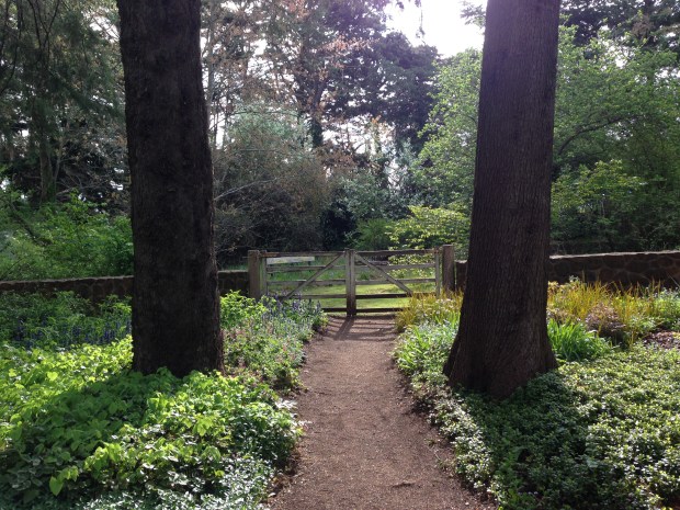 I love the soft edges to the paths and the overspilling planting
