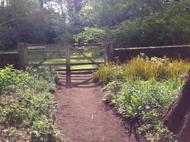 It's hard to fault the colours, forms, textures and light in this setting