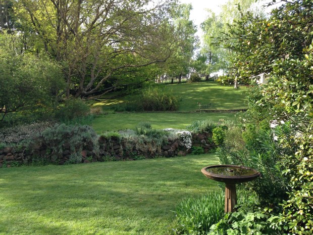 Looking up from the house terrace; it's a breakfast view I could cope with!