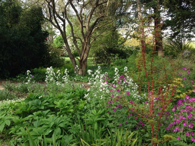 Naturalistic planting at Kiloren